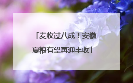 麦收过八成！安徽夏粮有望再迎丰收