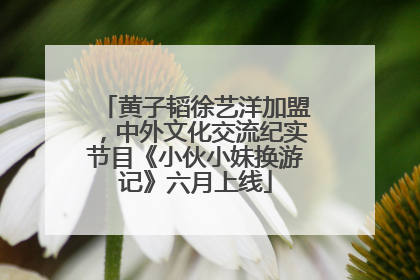黄子韬徐艺洋加盟，中外文化交流纪实节目《小伙小妹换游记》六月上线