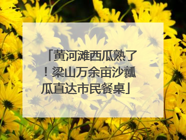 黄河滩西瓜熟了！梁山万余亩沙瓤瓜直达市民餐桌