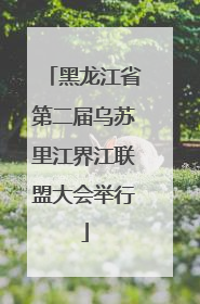黑龙江省第二届乌苏里江界江联盟大会举行