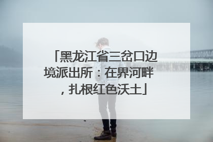 黑龙江省三岔口边境派出所：在界河畔，扎根红色沃土