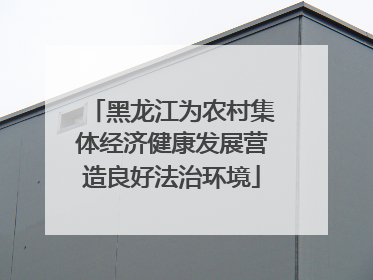黑龙江为农村集体经济健康发展营造良好法治环境
