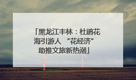 黑龙江丰林：杜鹃花海引游人 “花经济”助推文旅新热潮