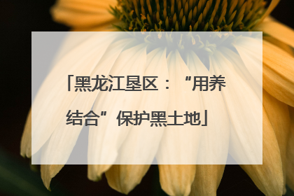黑龙江垦区：“用养结合”保护黑土地