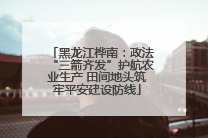 黑龙江桦南：政法“三箭齐发”护航农业生产 田间地头筑牢平安建设防线