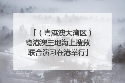 （粤港澳大湾区）粤港澳三地海上搜救联合演习在港举行