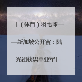 （体育）羽毛球——新加坡公开赛：陆光祖获男单亚军