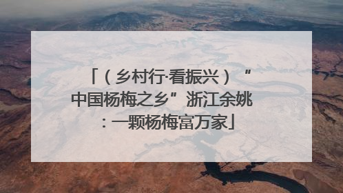 （乡村行·看振兴）“中国杨梅之乡”浙江余姚：一颗杨梅富万家