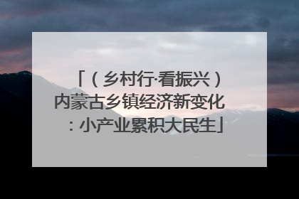 （乡村行·看振兴）内蒙古乡镇经济新变化：小产业累积大民生