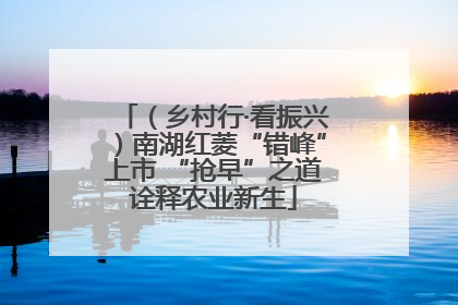 （乡村行·看振兴）南湖红菱“错峰”上市 “抢早”之道诠释农业新生