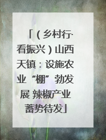 （乡村行·看振兴）山西天镇：设施农业“棚”勃发展 辣椒产业蓄势待发