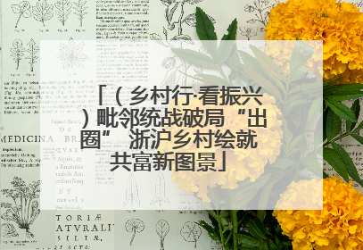 （乡村行·看振兴）毗邻统战破局“出圈” 浙沪乡村绘就共富新图景