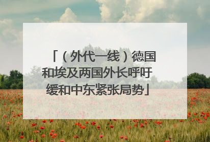 （外代一线）德国和埃及两国外长呼吁缓和中东紧张局势