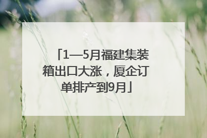 1—5月福建集装箱出口大涨，厦企订单排产到9月