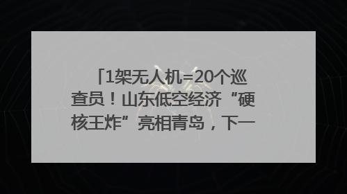 1架无人机=20个巡查员！山东低空经济“硬核王炸”亮相青岛，下一个万亿赛道藏在这里
