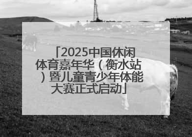 2025中国休闲体育嘉年华（衡水站）暨儿童青少年体能大赛正式启动