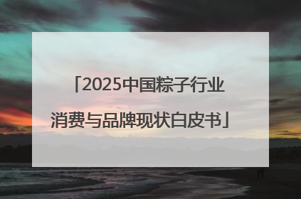 2025中国粽子行业消费与品牌现状白皮书