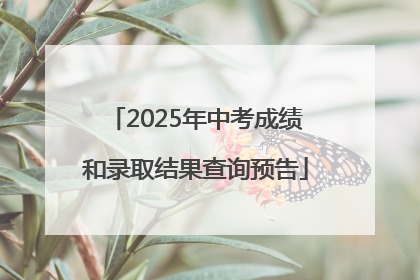 2025年中考成绩和录取结果查询预告