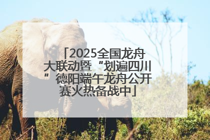 2025全国龙舟大联动暨“划遍四川”德阳端午龙舟公开赛火热备战中