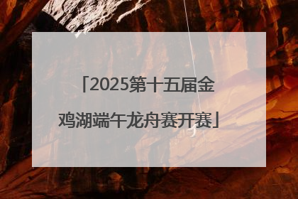 2025第十五届金鸡湖端午龙舟赛开赛