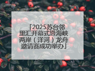 2025苏台邻里汇开幕式暨海峡两岸（洋河）龙舟邀请赛成功举办