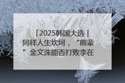2025韩国大选｜同样人生坎坷，“前辈”金文洙能否打败李在明“逆风翻盘”？
