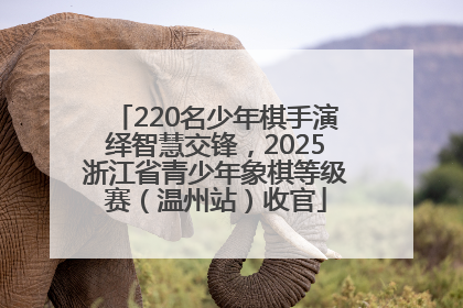 220名少年棋手演绎智慧交锋，2025浙江省青少年象棋等级赛（温州站）收官