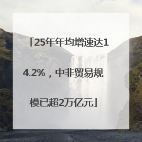 25年年均增速达14.2%，中非贸易规模已超2万亿元