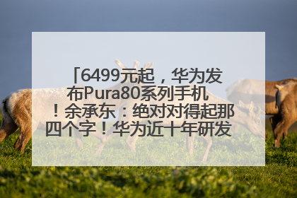 6499元起，华为发布Pura80系列手机！余承东：绝对对得起那四个字！华为近十年研发投入12490亿元