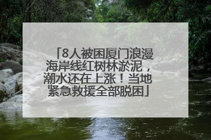 8人被困厦门浪漫海岸线红树林淤泥，潮水还在上涨！当地紧急救援全部脱困
