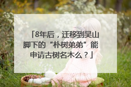 8年后，迁移到吴山脚下的“朴树弟弟”能申请古树名木么？