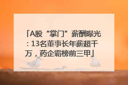 A股“掌门”薪酬曝光：13名董事长年薪超千万，药企霸榜前三甲